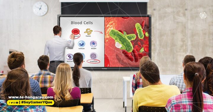 La plataforma de software myViewBoard lidera la transformación de tecnología educativa hacia el aprendizaje híbrido