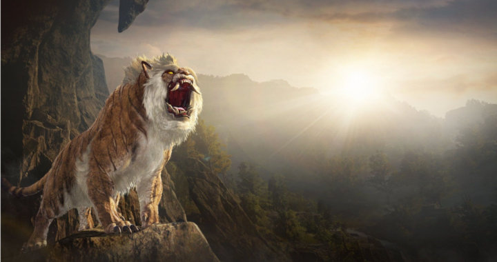La Tierra del Alba Radiante llega a Black Desert Mobile y Black Desert Online lanza un servidor de temporada permanente